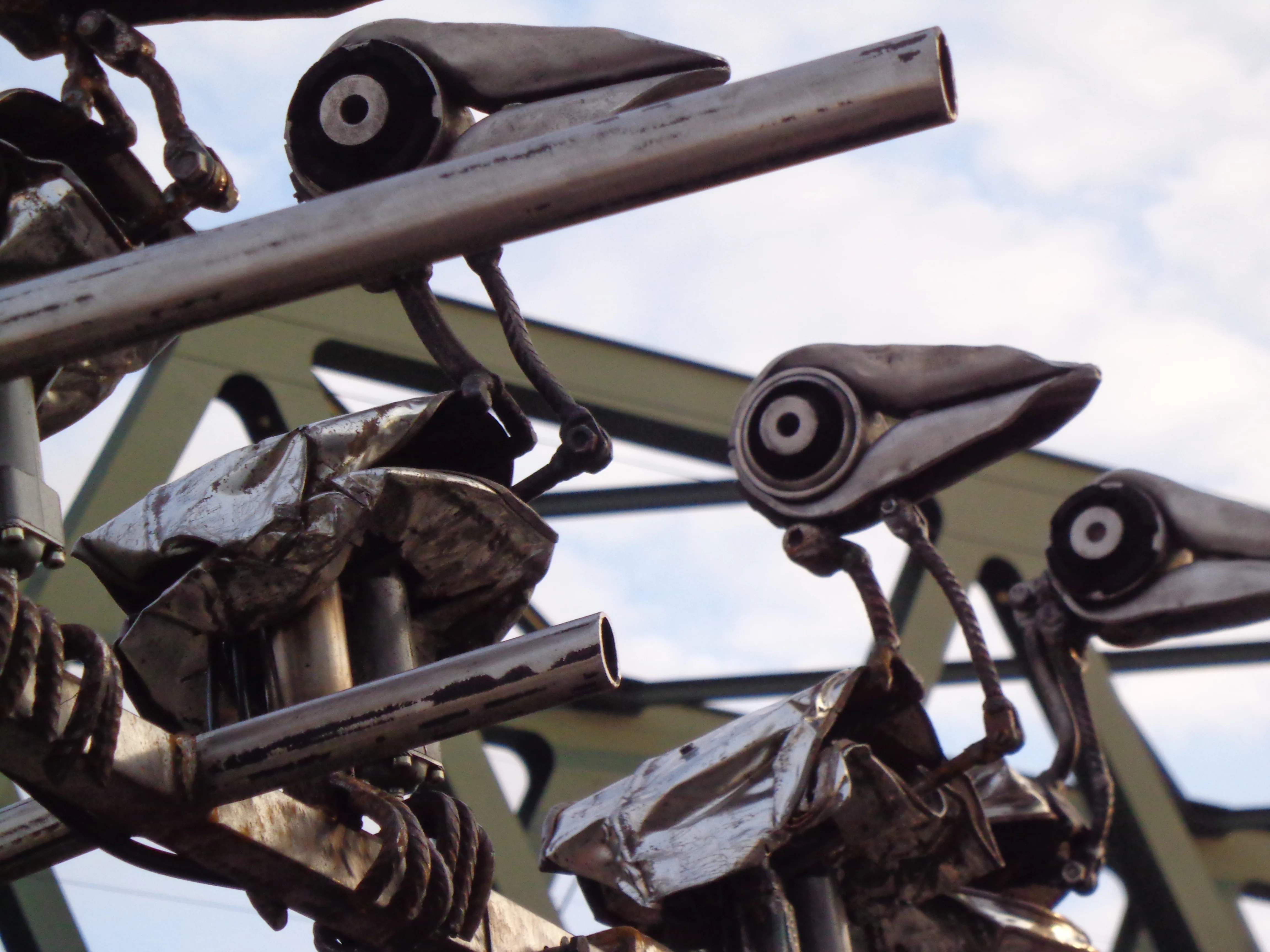 Pneumatic Birds